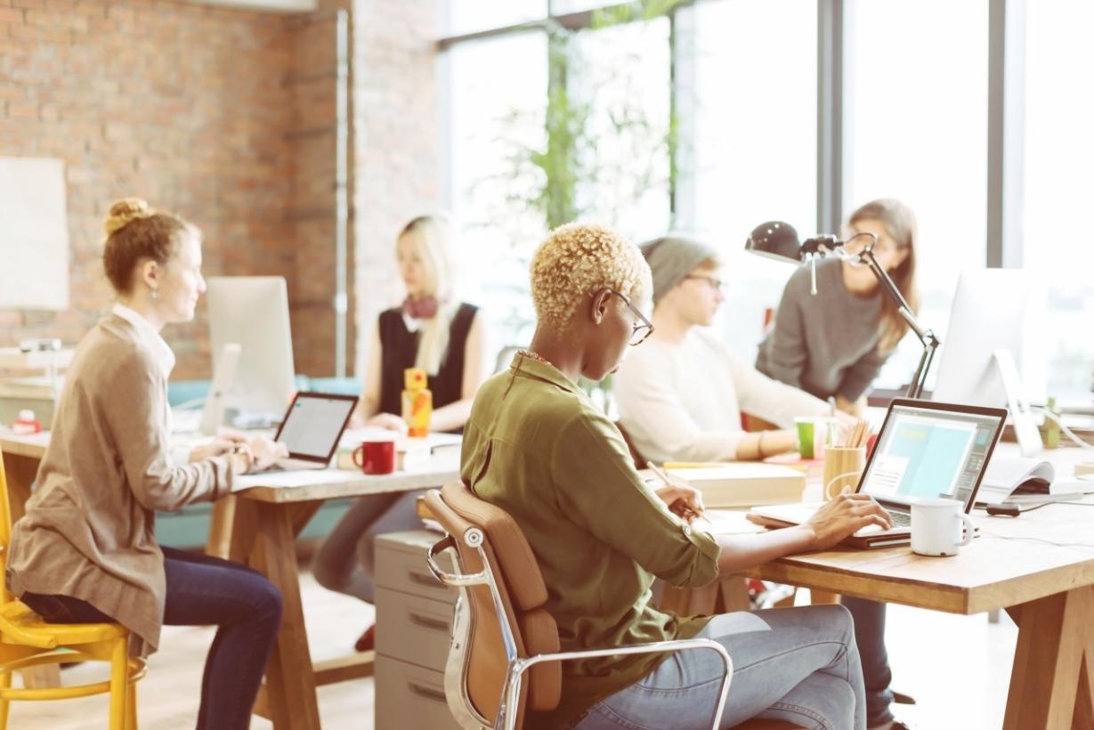 Visualisation comparative de ratios de rentabilité entre entreprises